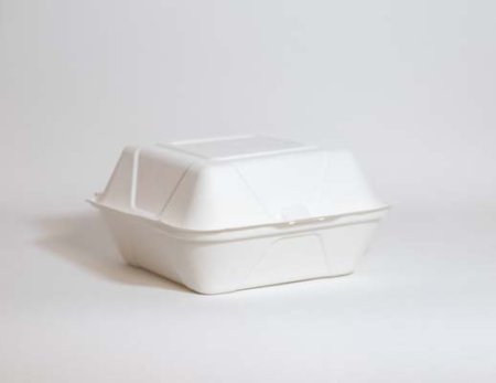  Bagassi hampurilaisrasia IP6