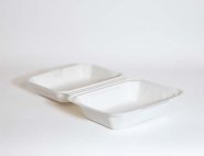 Bagassi hampurilaisrasia IP9