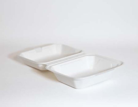  Bagassi hampurilaisrasia IP9