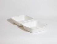 Bagassi salaattirasia IP7