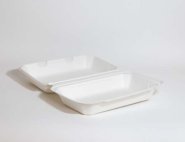 Bagassi pelkärasia IP 10