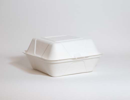  Bagassi hampurilaisrasia IP6