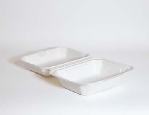  Bagassi hampurilaisrasia IP9