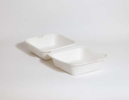  Bagassi salaattirasia IP7