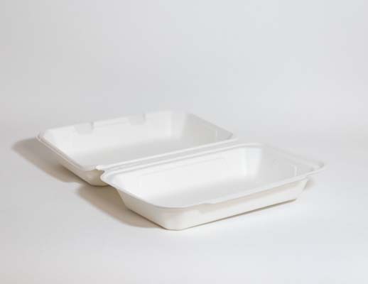  Bagassi pelkärasia IP 10